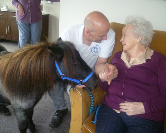 residents petting pony