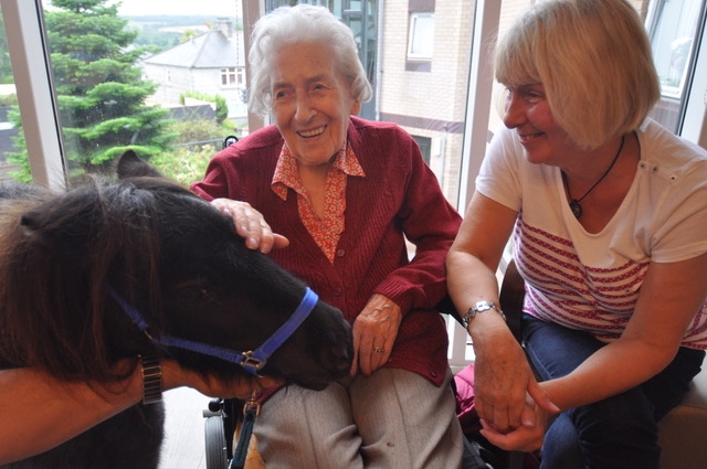 Resident & Loved One Petting Pony