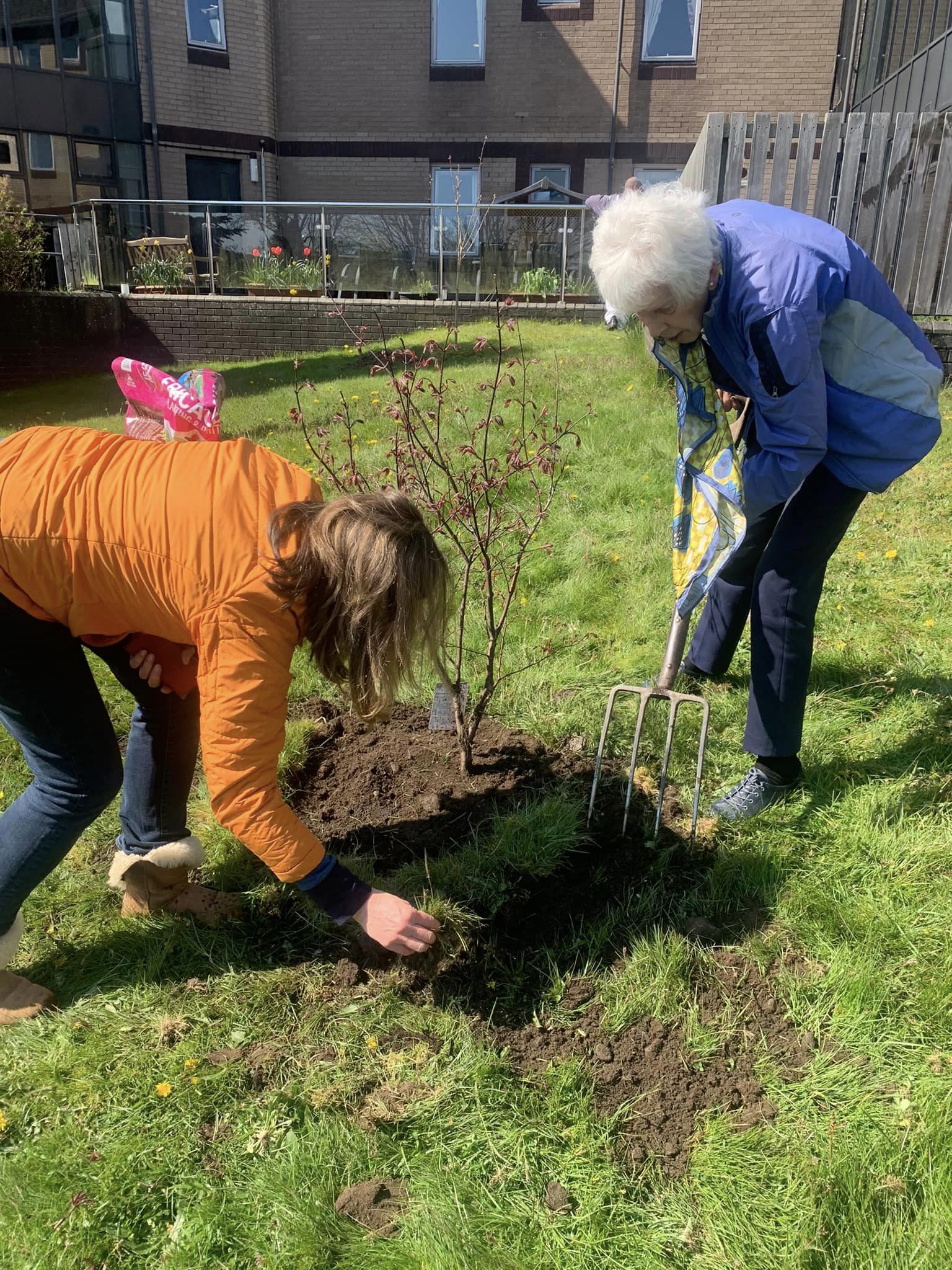 Wife & Loved One Planting Tree in Memory of Husband In Deeside's Garden
